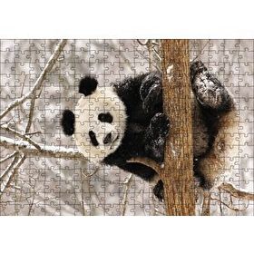 Cakapuzzle Ağaç Dalında Panda Ahşap 255 Parça Puzzle