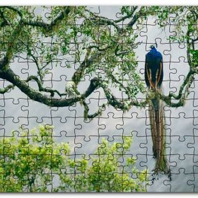 Cakapuzzle Ağaç Dalındaki Hint Tavuskuşu Mdf 120 Parça Puzzle