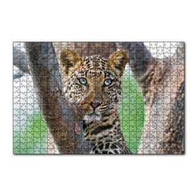 Cakapuzzle Ağaç Dallarında Genç Leopar 120 Parça Ahşap Puzzle