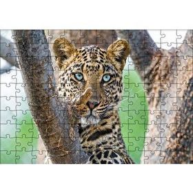 Cakapuzzle Ağaç Dallarında Genç Leopar 120 Parça Ahşap Puzzle