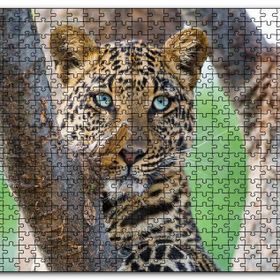 Cakapuzzle Ağaç Dallarında Genç Leopar Ahşap 1000 Parça Puzzle