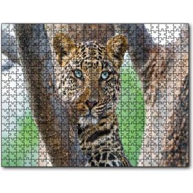 Cakapuzzle Ağaç Dallarında Genç Leopar Ahşap 1000 Parça Puzzle