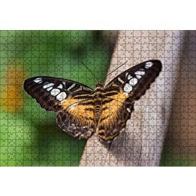 Cakapuzzle Ağaç Üzerinde Sarı Siyah Kelebek 120 Parça Ahşap Puzzle