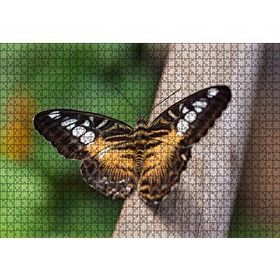 Cakapuzzle Ağaç Üzerinde Sarı Siyah Kelebek 120 Parça Ahşap Puzzle