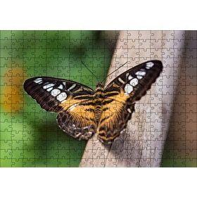 Cakapuzzle Ağaç Üzerinde Sarı Siyah Kelebek 120 Parça Ahşap Puzzle