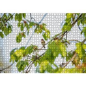 Cakapuzzle Ağacın Dalları Arasındaki Kırmızı Yüzlü Kuş 120 Parça Ahşap Puzzle