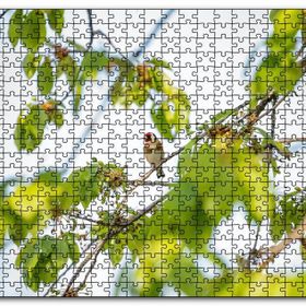 Cakapuzzle Ağacın Dalları Arasındaki Kırmızı Yüzlü Kuş Mdf 255 Parça Puzzle