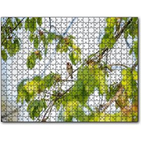 Cakapuzzle Ağacın Dalları Arasındaki Kırmızı Yüzlü Kuş Mdf 255 Parça Puzzle