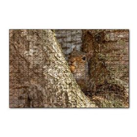 Cakapuzzle Ağacın Dalları Arasındaki Sincap 120 Parça Ahşap Puzzle