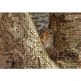 Cakapuzzle Ağacın Dalları Arasındaki Sincap 120 Parça Ahşap Puzzle