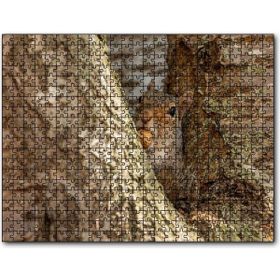 Cakapuzzle Ağacın Dalları Arasındaki Sincap Mdf 1000 Parça Puzzle