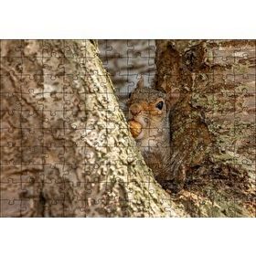 Cakapuzzle Ağacın Dalları Arasındaki Sincap Mdf 120 Parça Puzzle