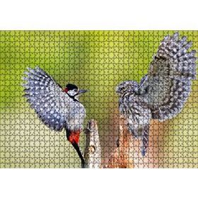 Cakapuzzle Ağaçkakan ve Baykuş Ahşap 1000 Parça Puzzle