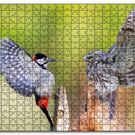 Cakapuzzle Ağaçkakan ve Baykuş Ahşap 500 Parça Puzzle