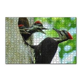 Cakapuzzle Ağaçkakan ve Yuvada Aç Yavruları 120 Parça Ahşap Puzzle