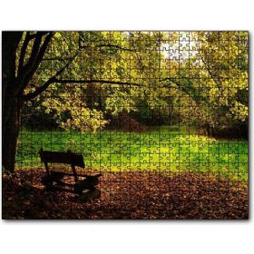 Cakapuzzle Ağaçlar ve Koyu Gölgedeki Ahşap Bank 500 Parça Puzzle