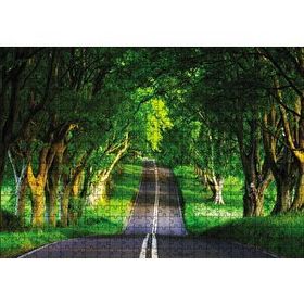 Cakapuzzle Ağaçlar Ve Yol 120 Parça Ahşap Puzzle