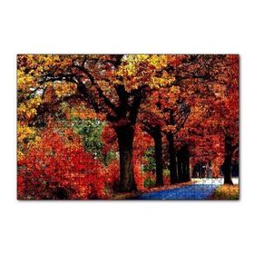 Cakapuzzle Ağaçlı Yol ve Sonbahar Yaprakları 120 Parça Ahşap Puzzle