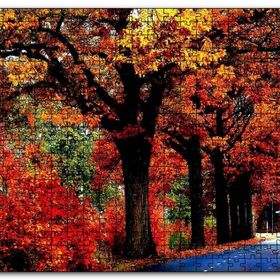 Cakapuzzle Ağaçlı Yol ve Sonbahar Yaprakları Mdf 120 Parça Puzzle