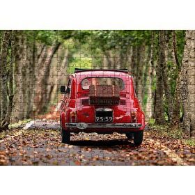 Cakapuzzle Ağaçlı Yol Yapraklar ve Kırmızı Fiat Bis Mdf 255 Parça Puzzle