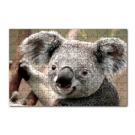 Cakapuzzle Ağaçtaki Sevimli Koala Yakın Çekim 120 Parça Ahşap Puzzle
