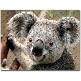 Cakapuzzle Ağaçtaki Sevimli Koala Yakın Çekim Mdf 500 Parça Puzzle