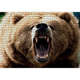 Cakapuzzle Agresif Boz Ayı Yakın Çekim Mdf 1000 Parça Puzzle