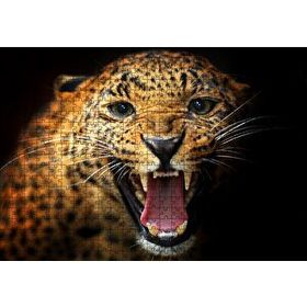 Cakapuzzle Agresif Leopar Siyah Zemin Ahşap 500 Parça Puzzle