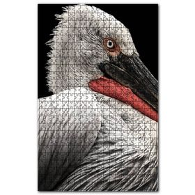 Cakapuzzle Ak Pelikan Yakın Çekim Ahşap 255 Parça Puzzle