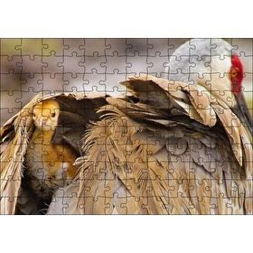 Cakapuzzle Akbaba Kanatları Arasında Yavrusu Mdf 120 Parça Puzzle