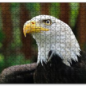 Cakapuzzle Akbaşlı Kartal Yakın Plan Mdf 120 Parça Puzzle