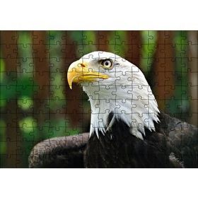 Cakapuzzle Akbaşlı Kartal Yakın Plan Mdf 120 Parça Puzzle