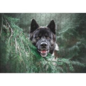 Cakapuzzle Akita Kahverengi Siyah Köpek ve Çam Yaprakları 255 Parça Puzzle