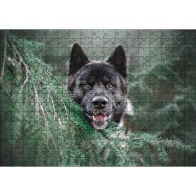 Cakapuzzle Akita Kahverengi Siyah Köpek ve Çam Yaprakları 255 Parça Puzzle