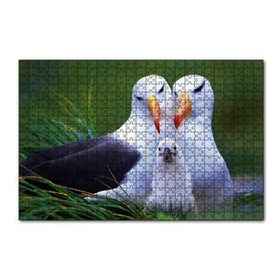 Cakapuzzle Albatross Kuşu Ailesi 120 Parça Ahşap Puzzle