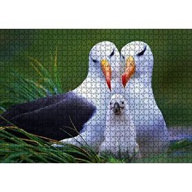 Cakapuzzle Albatross Kuşu Ailesi Mdf 1000 Parça Puzzle