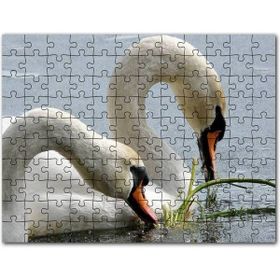 Cakapuzzle Alevden Yapılmış Ürkütücü Ejderha Mdf 1000 Parça Puzzle