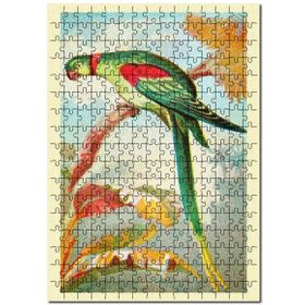Cakapuzzle Alexandrine Halka Muhabbet Kuşu Mdf 1000 Parça Puzzle