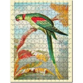Cakapuzzle Alexandrine Halka Muhabbet Kuşu Mdf 1000 Parça Puzzle