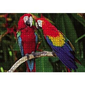 Cakapuzzle Amazon Papaganı 120 Parça Ahşap Puzzle