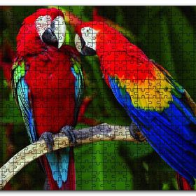 Cakapuzzle Amazon Papaganı Ahşap 1000 Parça Puzzle