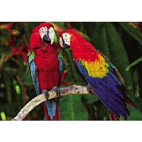 Cakapuzzle Amazon Papaganı Mdf 120 Parça Puzzle