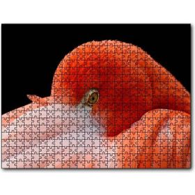 Cakapuzzle Amerikan Flamingosu Siyah Arkaplan Mdf 1000 Parça Puzzle