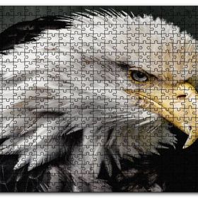 Cakapuzzle Amerikan Kartalı Makro Çekim Mdf 1000 Parça Puzzle