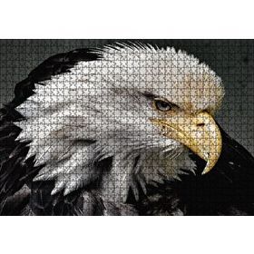 Cakapuzzle Amerikan Kartalı Makro Çekim Mdf 1000 Parça Puzzle