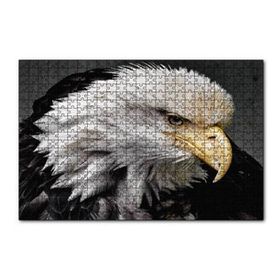 Cakapuzzle Amerikan Kartalı Makro Çekim Puzzle