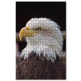 Cakapuzzle Amerikan Kartalı Yakın Çekim Puzzle