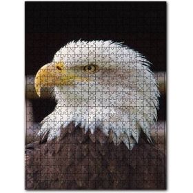 Cakapuzzle Amerikan Kartalı Yakın Çekim Puzzle