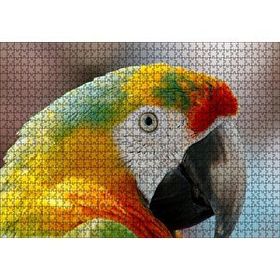 Cakapuzzle Amerikan Papağanı 120 Parça Ahşap Puzzle