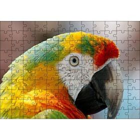 Cakapuzzle Amerikan Papağanı 120 Parça Ahşap Puzzle